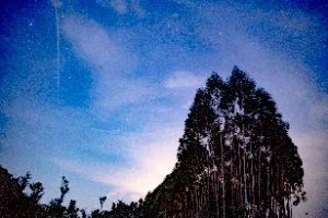 2023年6月23日第一次拍星空
