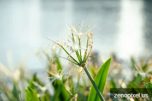 2024年7月15日